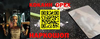 индика Гусь-Хрустальный