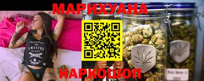 индика Гусь-Хрустальный