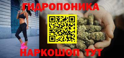 индика Гусь-Хрустальный